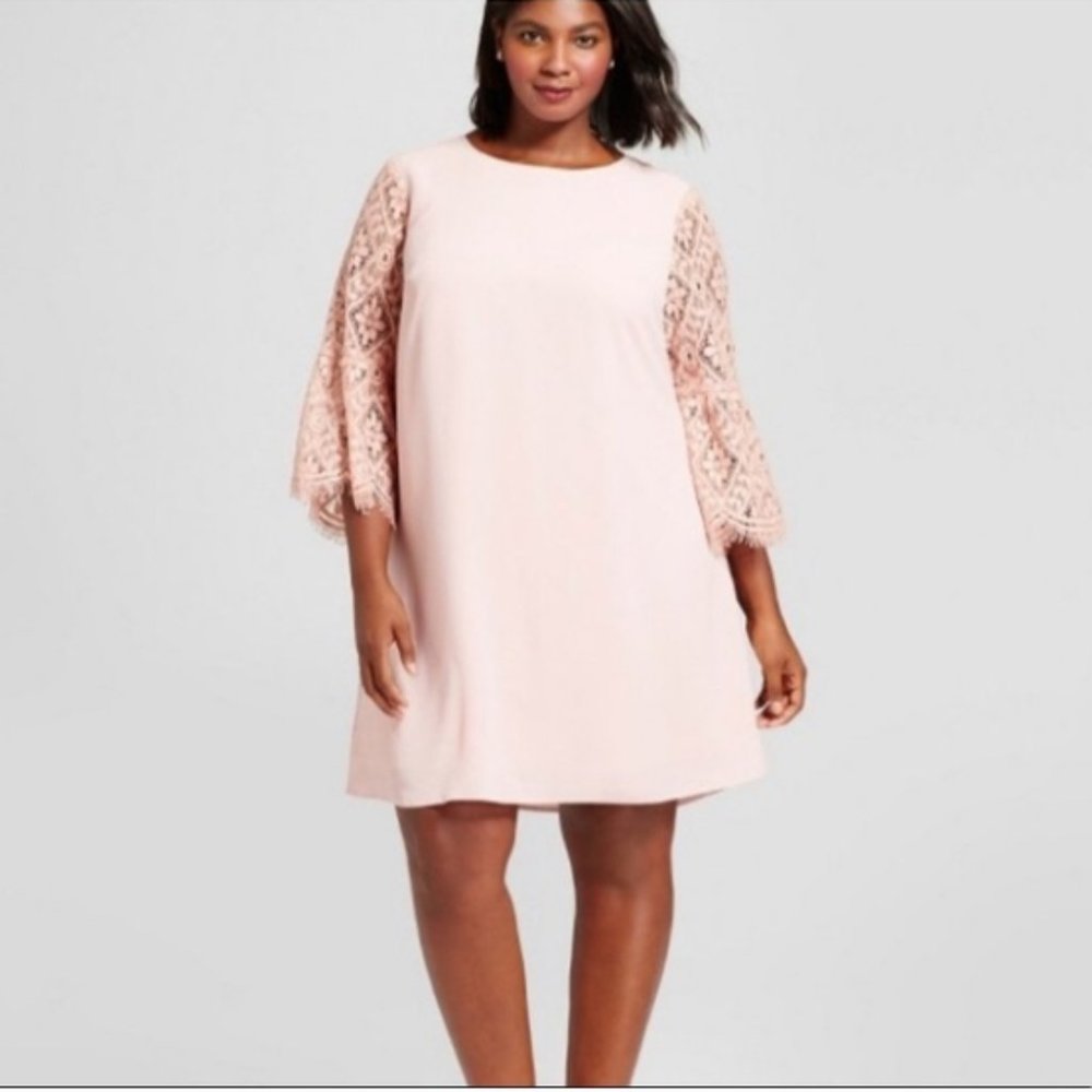 Lace Sleeved Dress